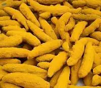 Dry Finger Turmeric