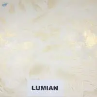 Paints & Coatings