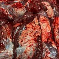 Beef Meat