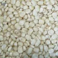 White Maize