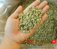Robusta Green Coffee Bean S16