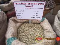 Robusta Green Coffee Bean S13
