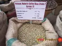 Robusta Green Coffee Bean S13