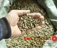 Robusta Green Coffee Bean S18