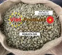 Robusta Green Coffee Bean S20