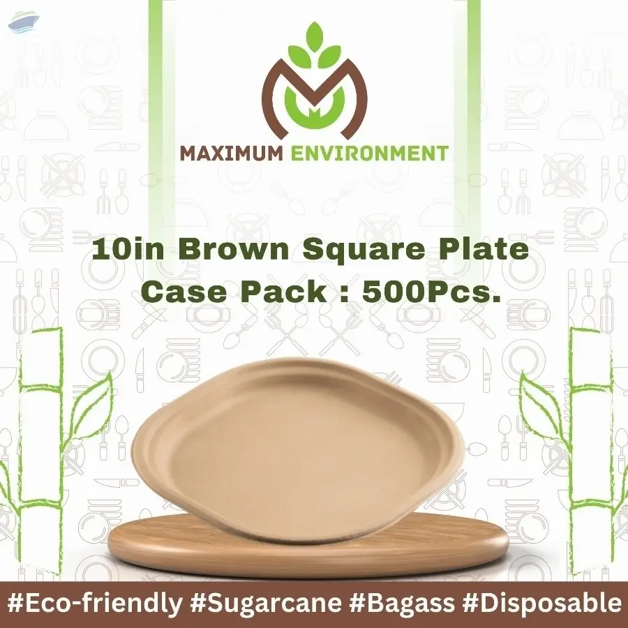 10inch Brown Square Bagasse Plate