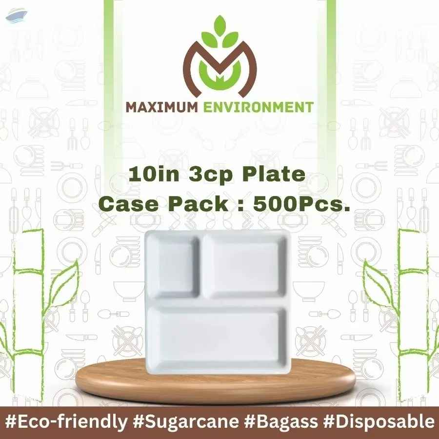 10inch 3 Compartment Bagasse Plate