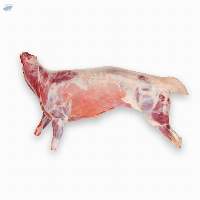 Halal Whole Lamb Carcass
