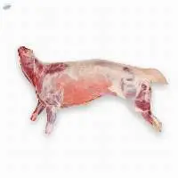 Halal Whole Lamb Carcass