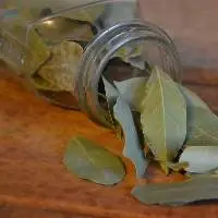 Bay Leaves