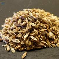 Fennel Seeds