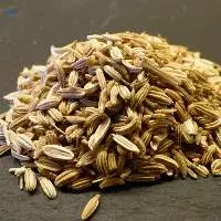 Fennel Seeds
