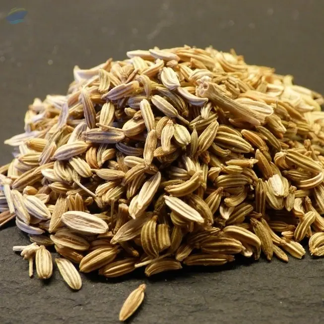 Fennel Seeds
