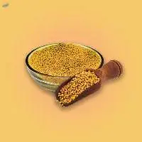 Mustard Seeds