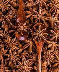 Star Anise