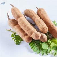 Tamarind