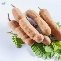 Tamarind