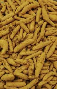 Turmeric