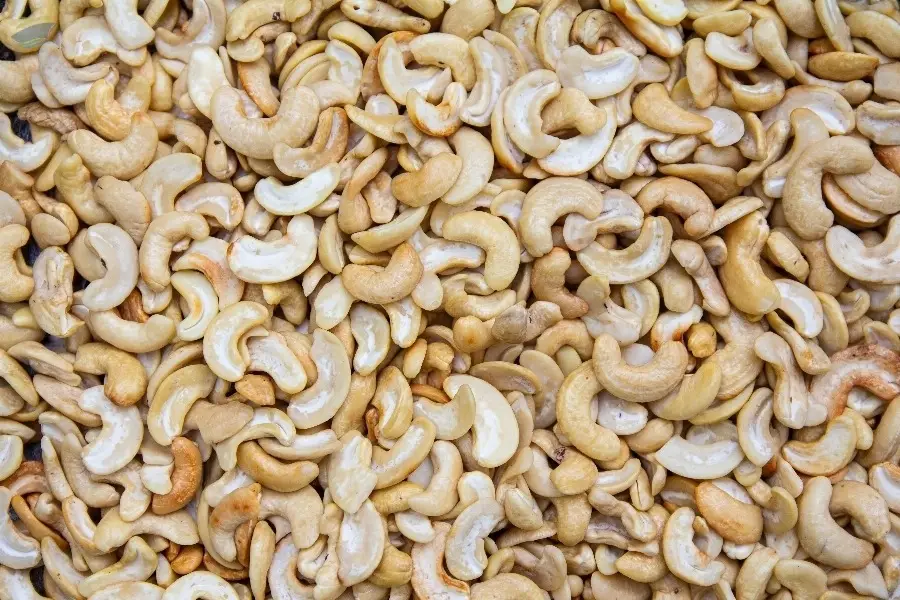 Cashew