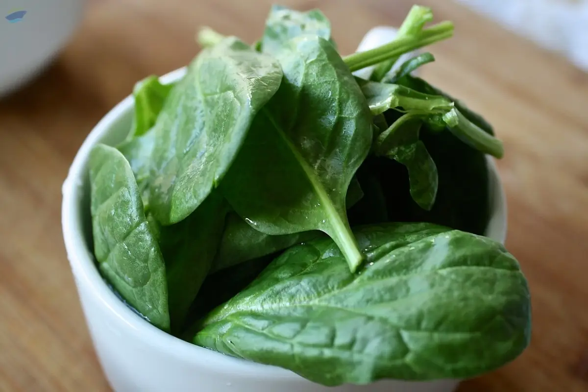 Spinach