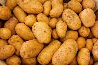 Potato
