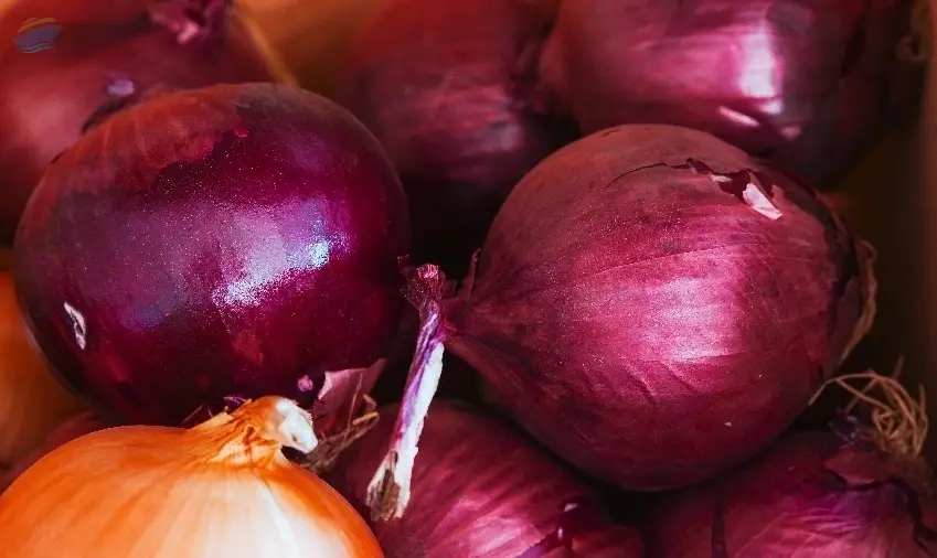 Onions