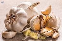 Garlic (G-Garlic)