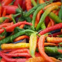 Chillies (Chilly)