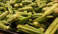 Okra (Lady Finger)
