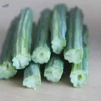 Drumstick (Drum Stick)