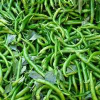 Long Chillies (Long Chilly)