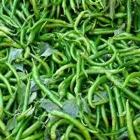 Long Chillies (Long Chilly)