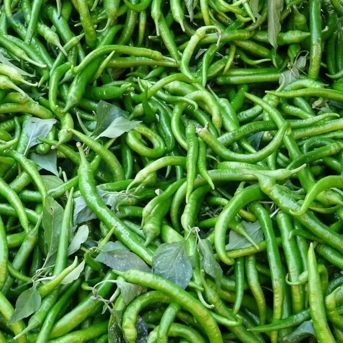 Long Chillies (Long Chilly)