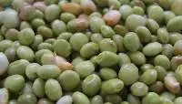 Pigeon Peas (Tuvar)