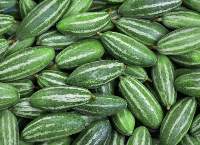 Pointed Gourd (Parwal)