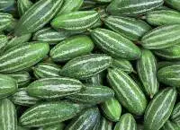 Pointed Gourd (Parwal)
