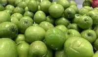 Indian Jujube (Bor)