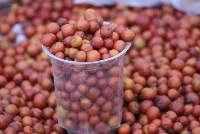Indian Jujube Small (Small Bor)
