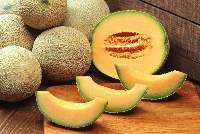 Cantaloupe (Garma Fruit)
