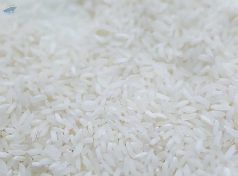 Rice