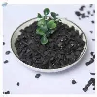 Coconut Shell Based Activated Carbon
