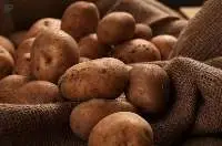 Potato