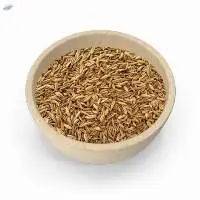 Cumin Whole