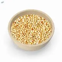 Sorghum Milky White