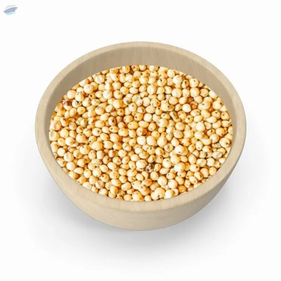 Sorghum Milky White