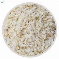 Dehydrated White Onion Minced