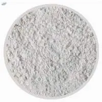Dehydrated White Onion Powder