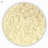 Dehydrated Garlic Powder