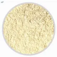 Dehydrated Garlic Powder