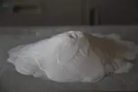 Precipitated Silica for Feed